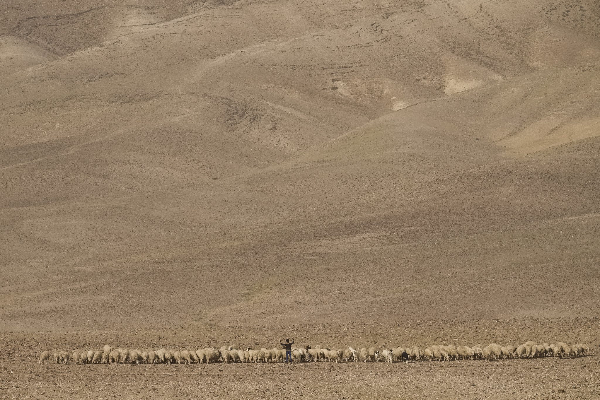 Fujifilm X-Pro1 sample photo. Bedouin shepherd boy - negev desert photography