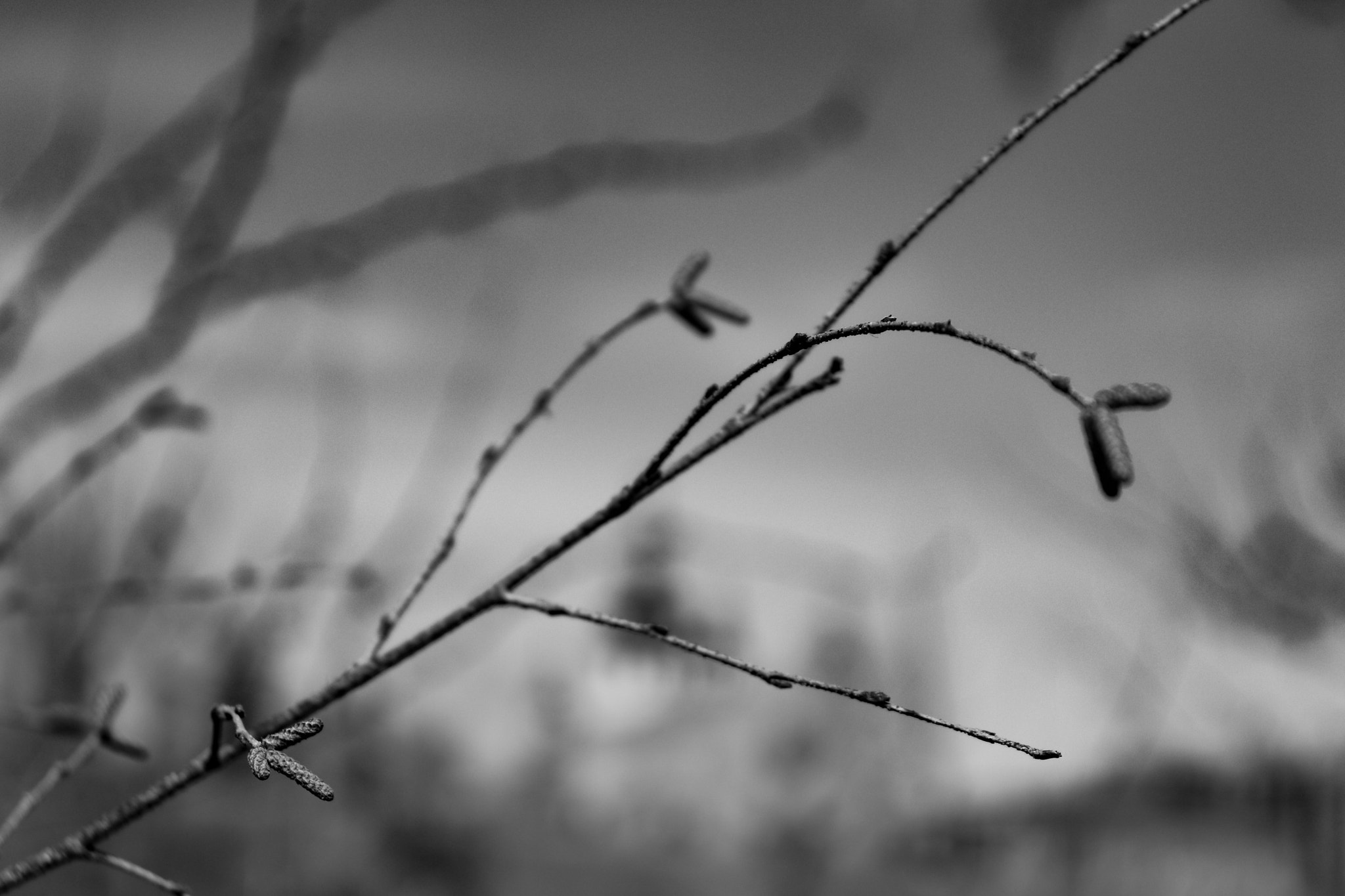 Canon EOS 800D (EOS Rebel T7i / EOS Kiss X9i) sample photo. Abstract photography