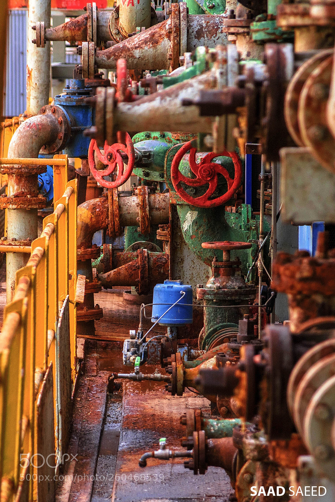 Nikon D750 sample photo. Valves photography