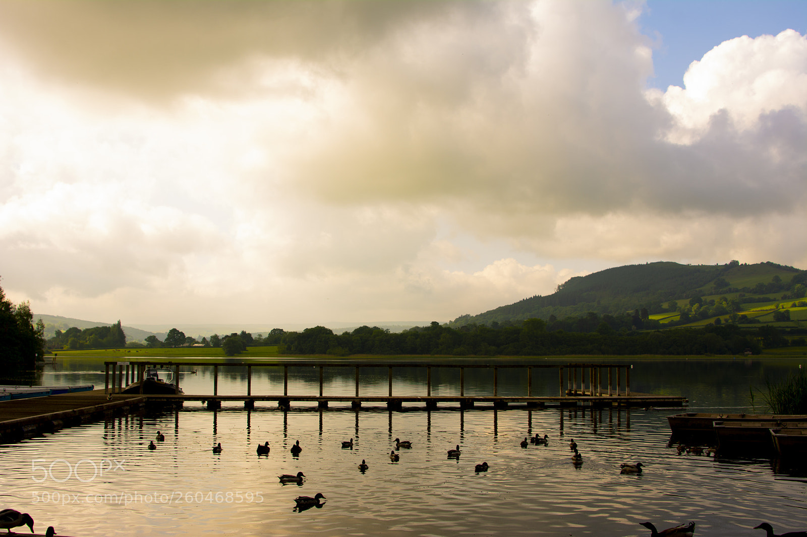 Nikon D7100 sample photo. Llangorse lake photography