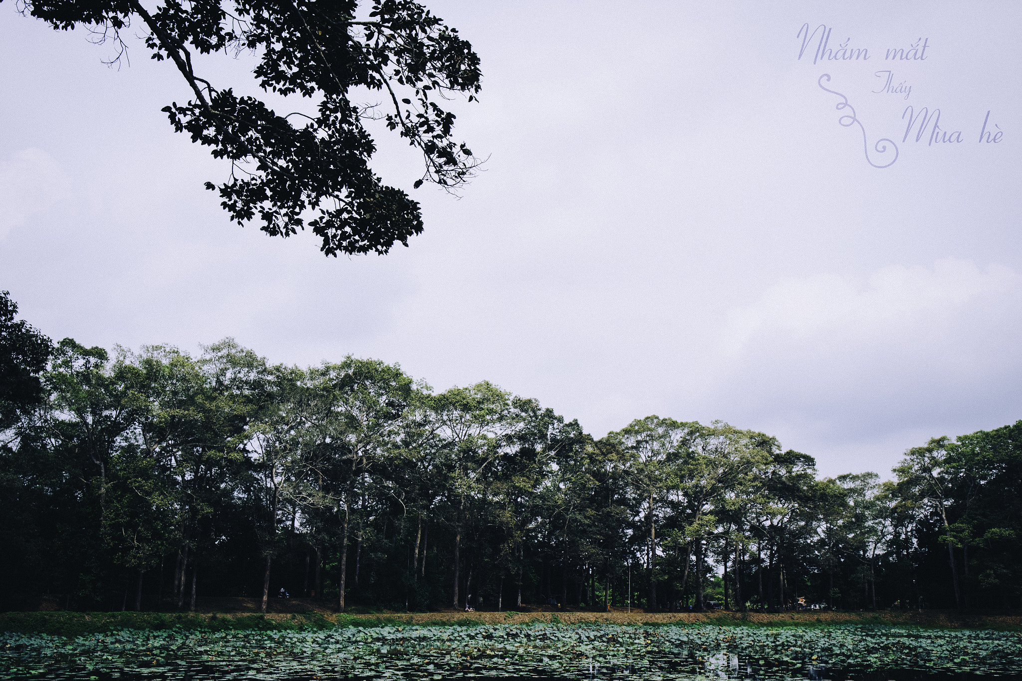 Canon EOS M10 sample photo. Nhắm mắt thấy mùa hè photography