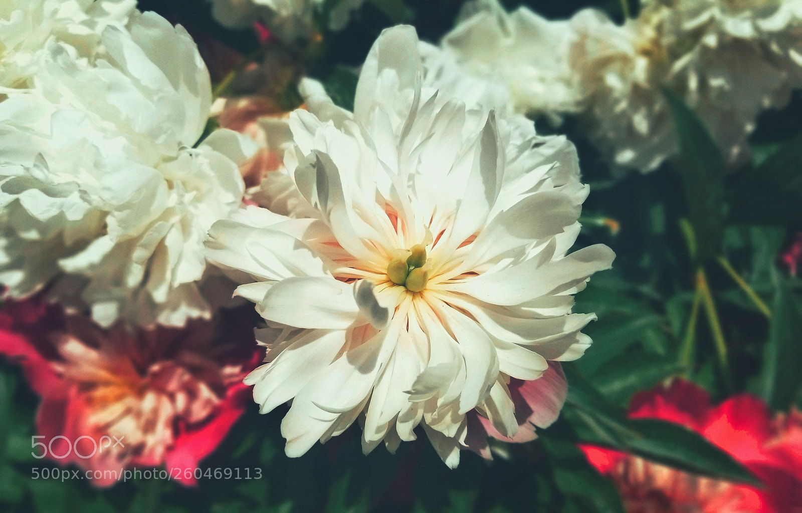 Samsung Galaxy S8 sample photo. Untitled photography