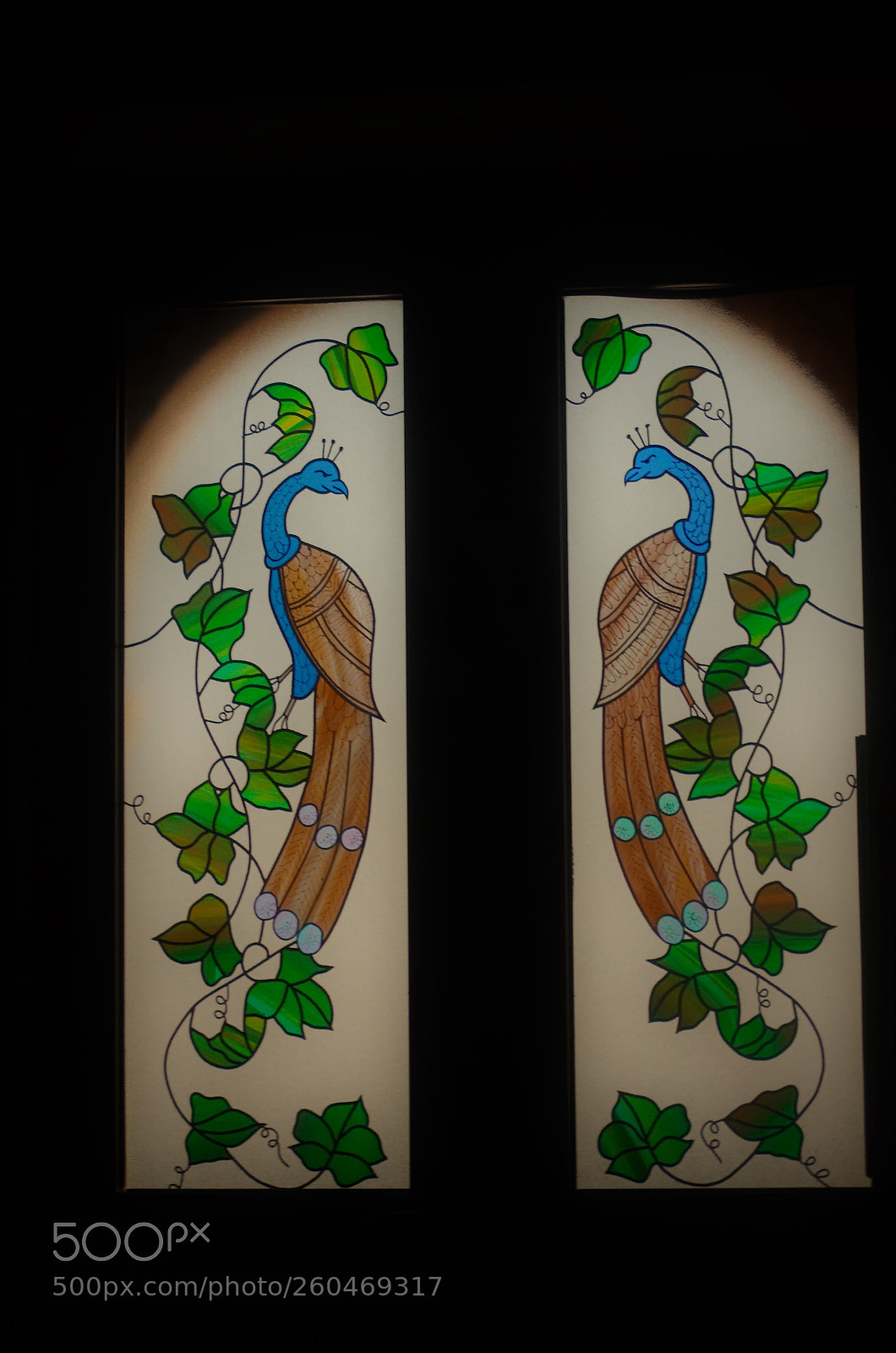 Nikon D7000 sample photo. Stained glass birds photography