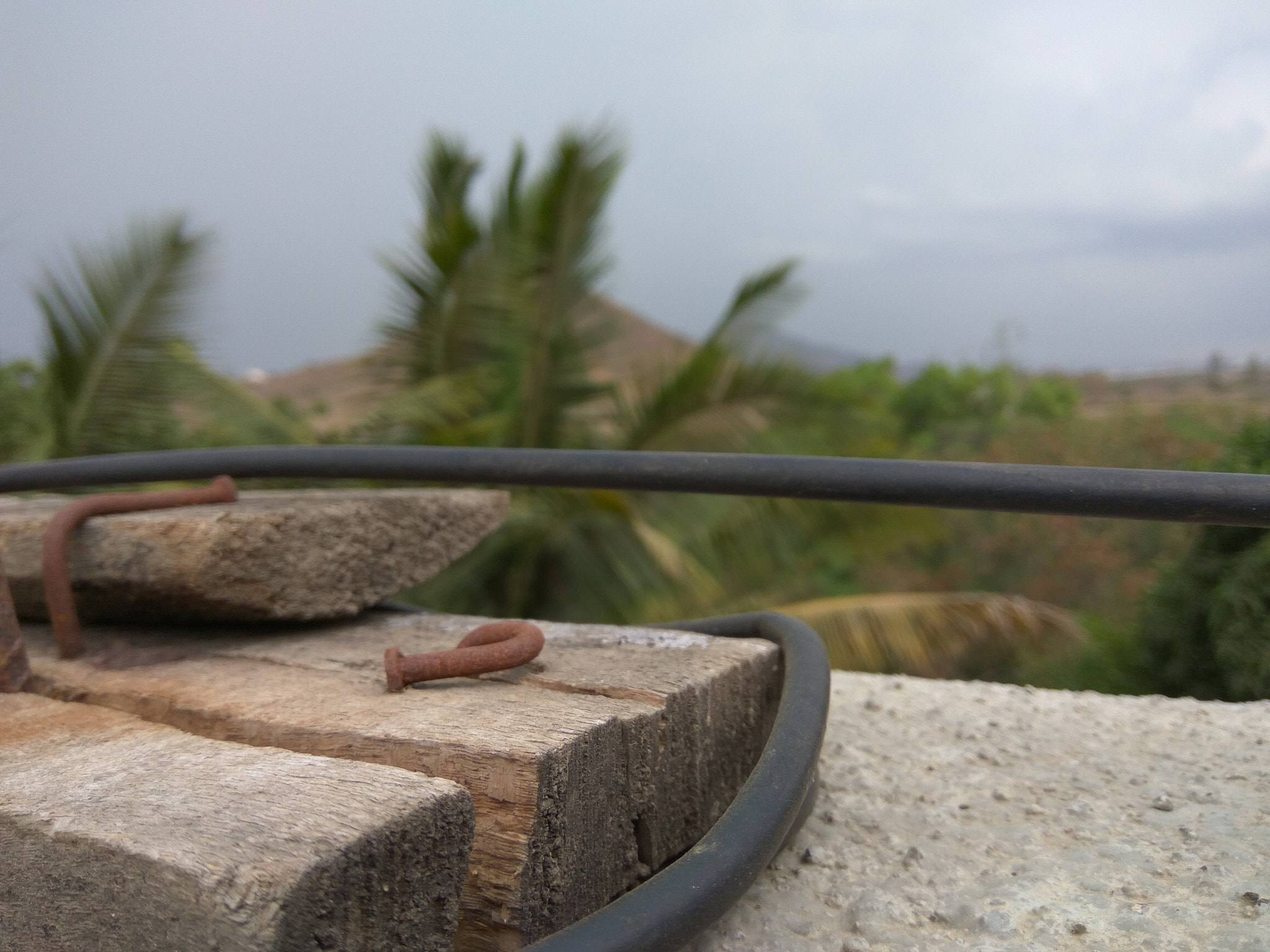 Xiaomi Redmi Note3 sample photo