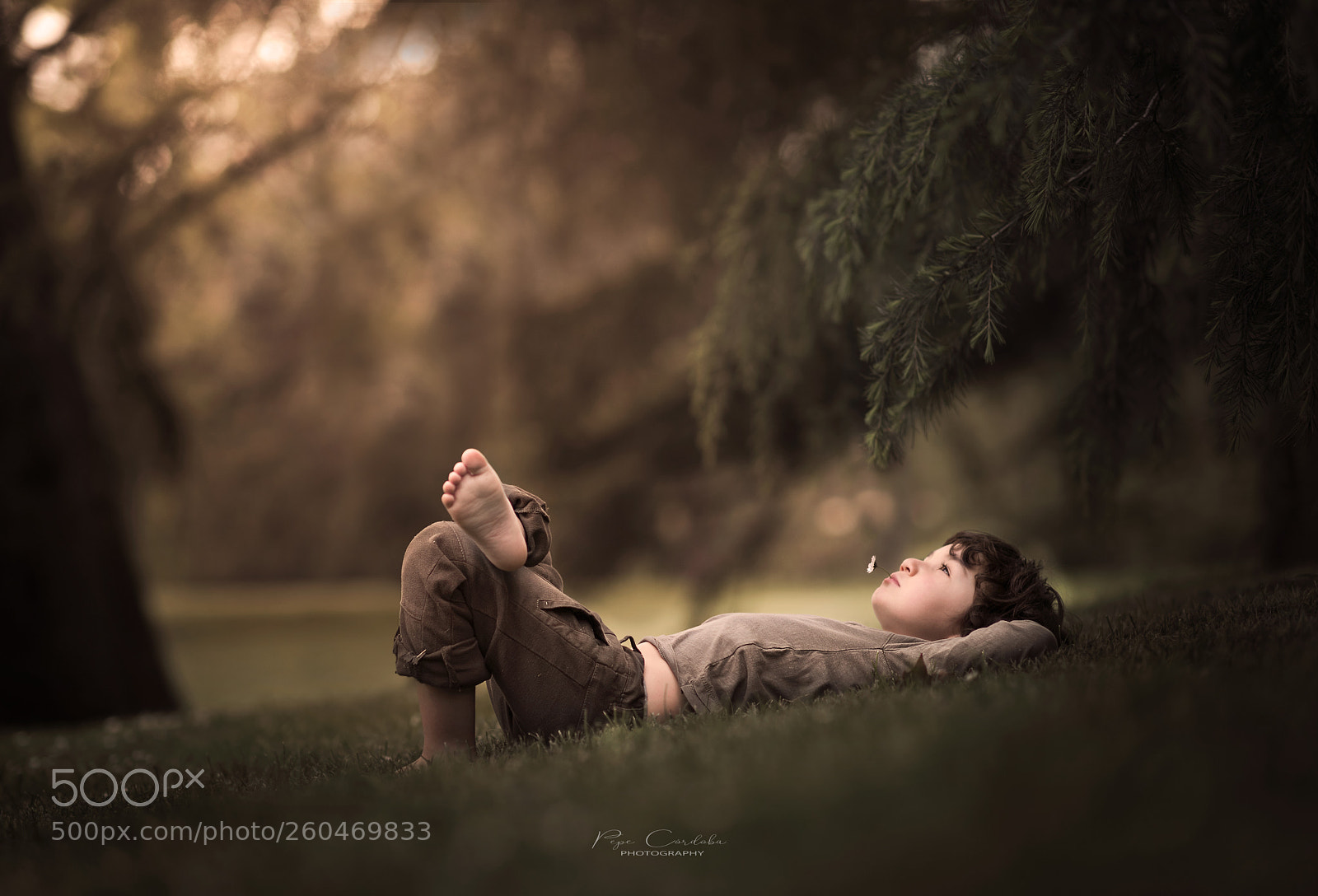 Nikon D810 sample photo. Eros photography