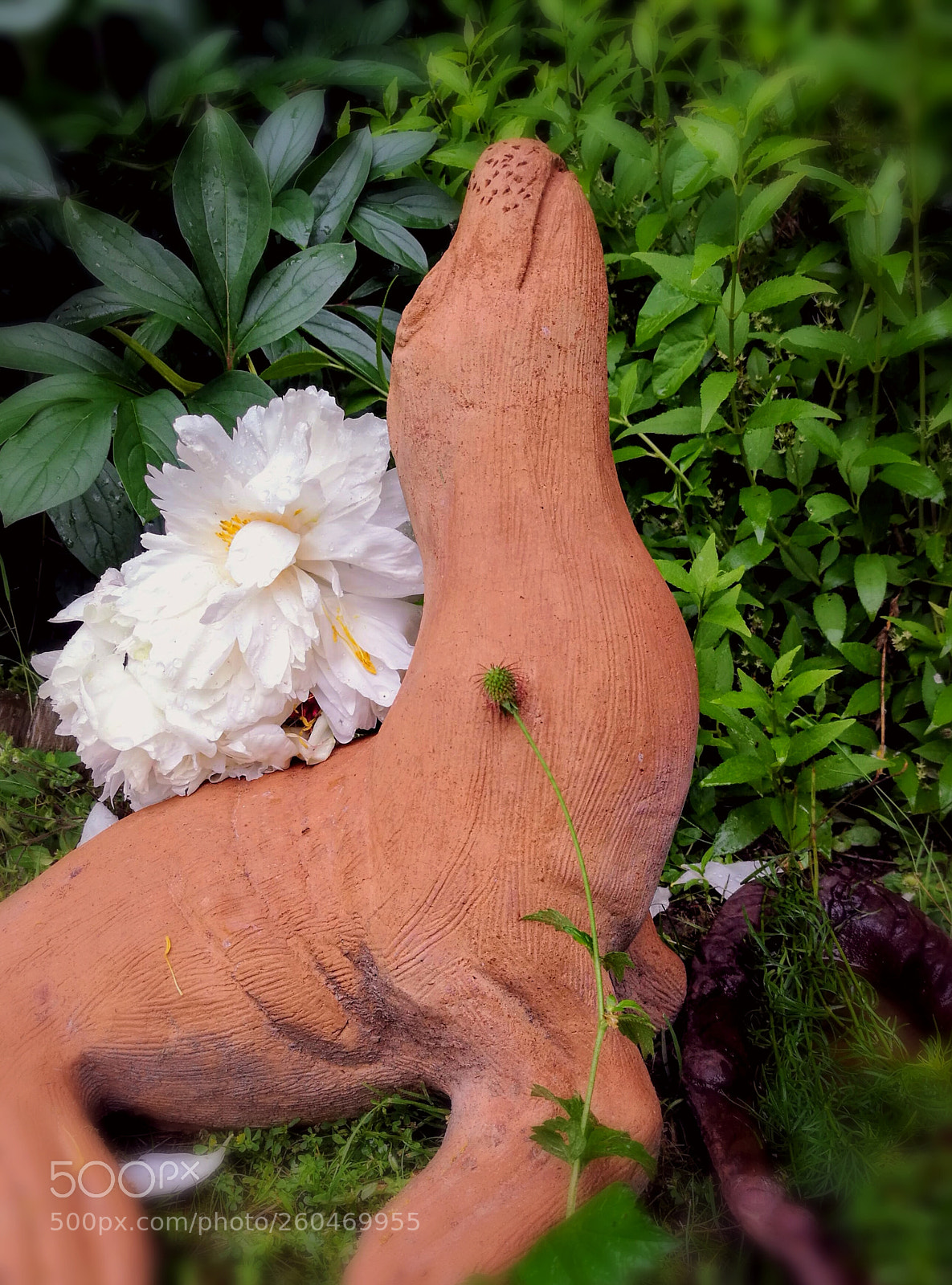 HUAWEI P9 sample photo. Terracotta from tuscany photography