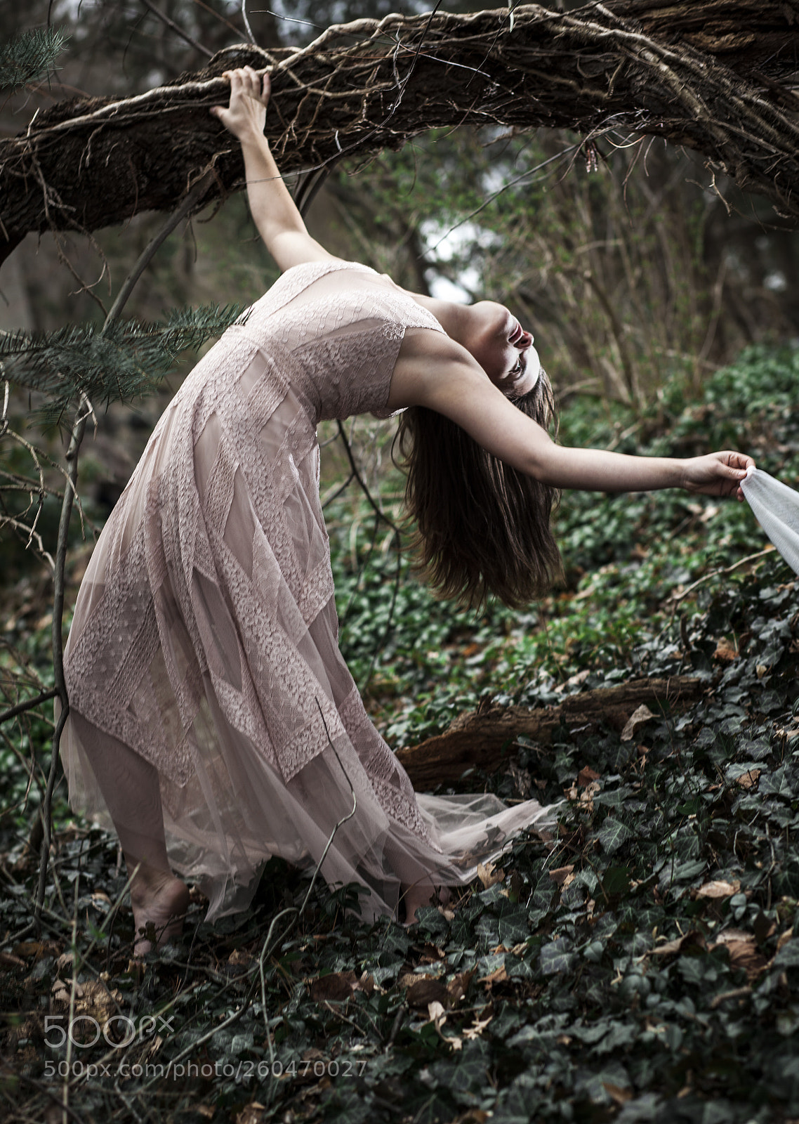 Canon EOS 5D Mark II sample photo. Forest dancing photography