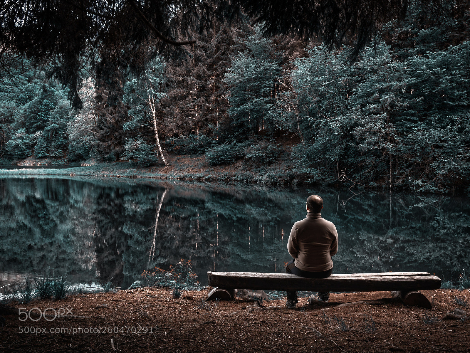 Panasonic Lumix DMC-GX85 (Lumix DMC-GX80 / Lumix DMC-GX7 Mark II) sample photo. Young man in nature photography