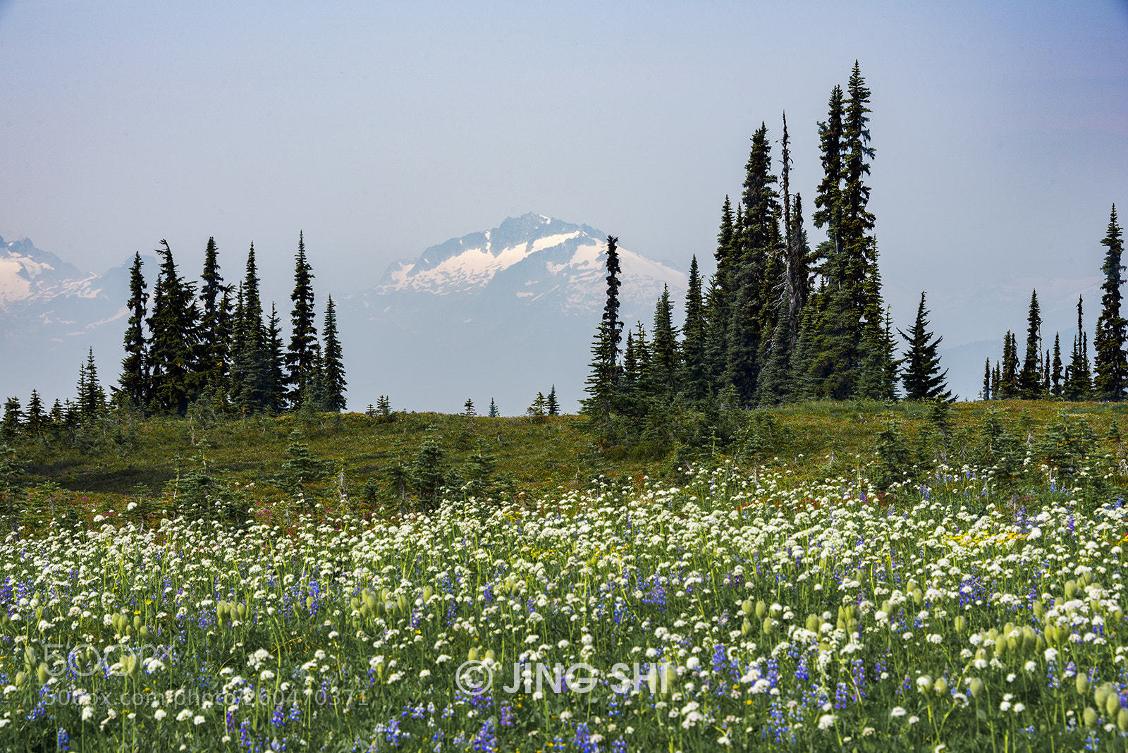 Nikon D810 sample photo. Ghostly mountain photography