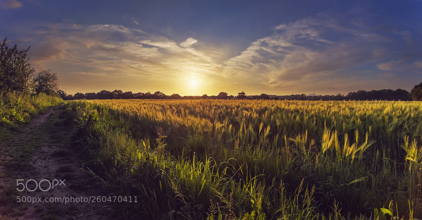 Canon EOS 5D Mark II sample photo. Fire wheat photography
