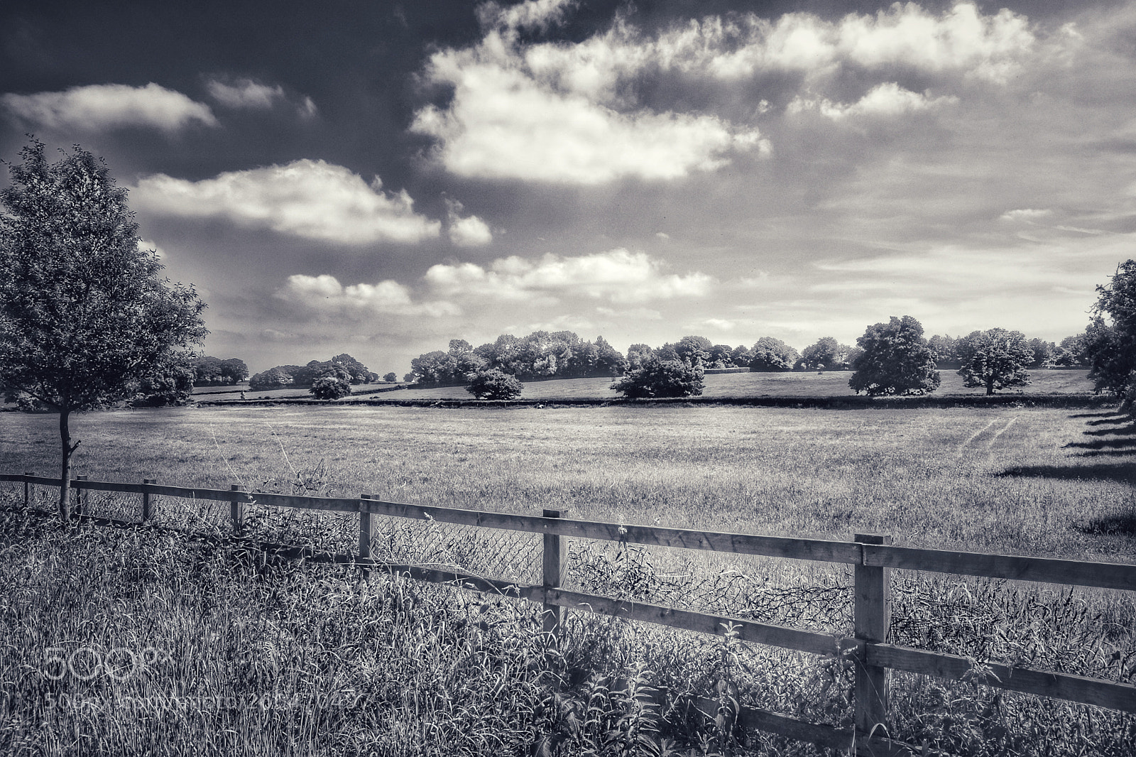 Nikon D3300 sample photo. Pastoral photography