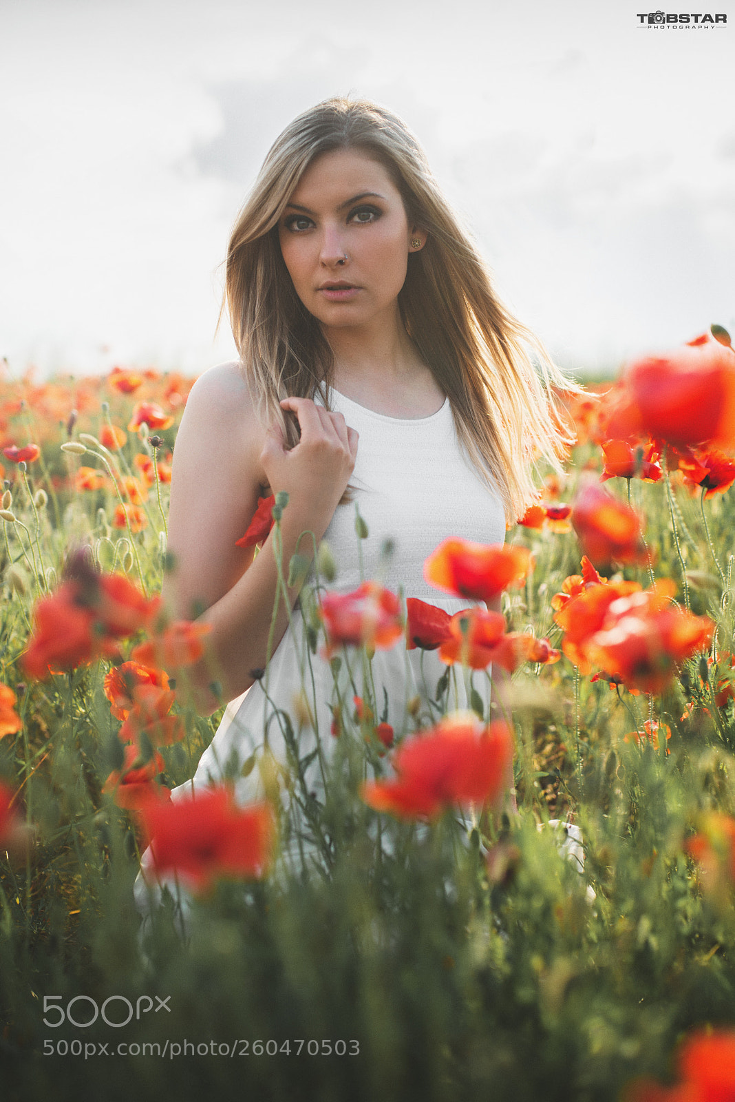 Nikon D800 sample photo. Untitled photography