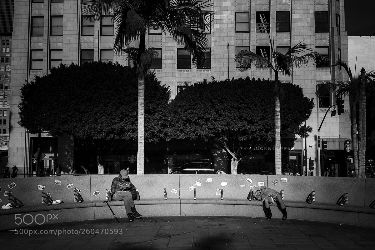 Fujifilm X-T10 sample photo. Curved bench web photography