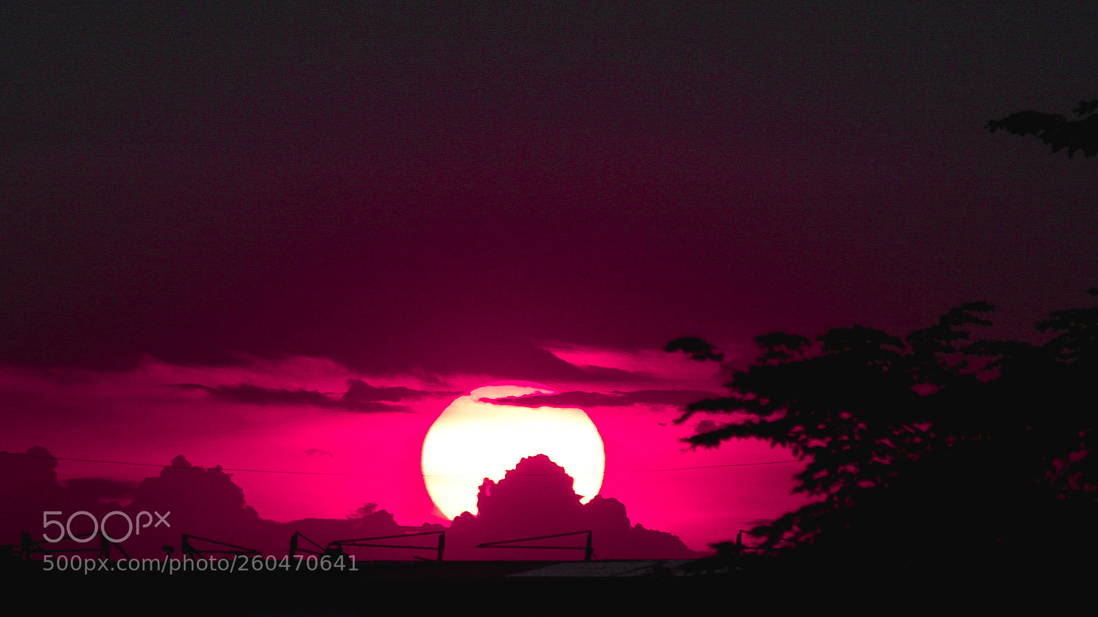 Canon EOS 50D sample photo. Pink sunset photography