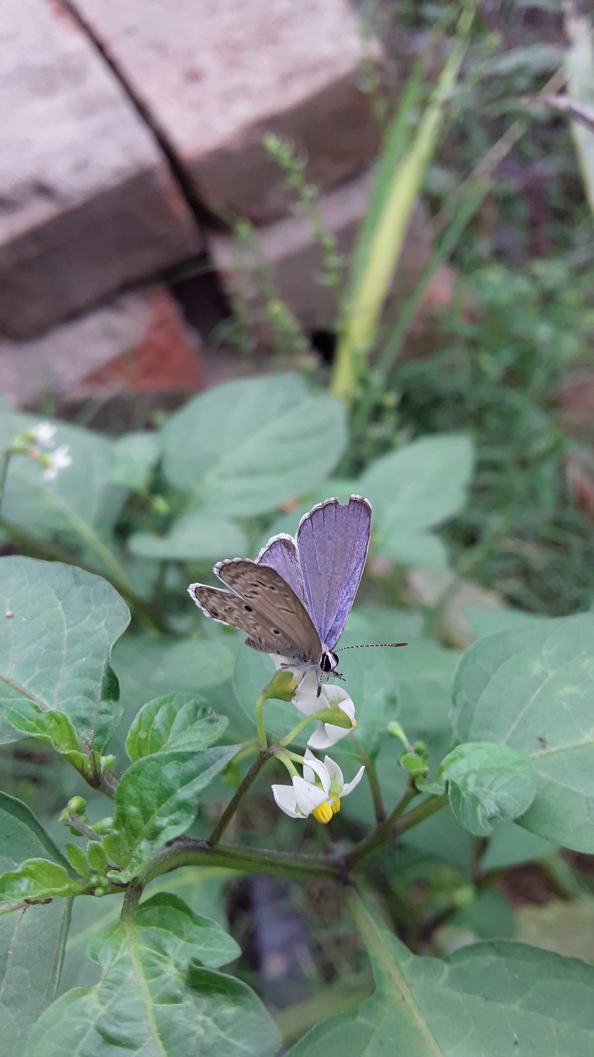 Samsung Galaxy On5 sample photo