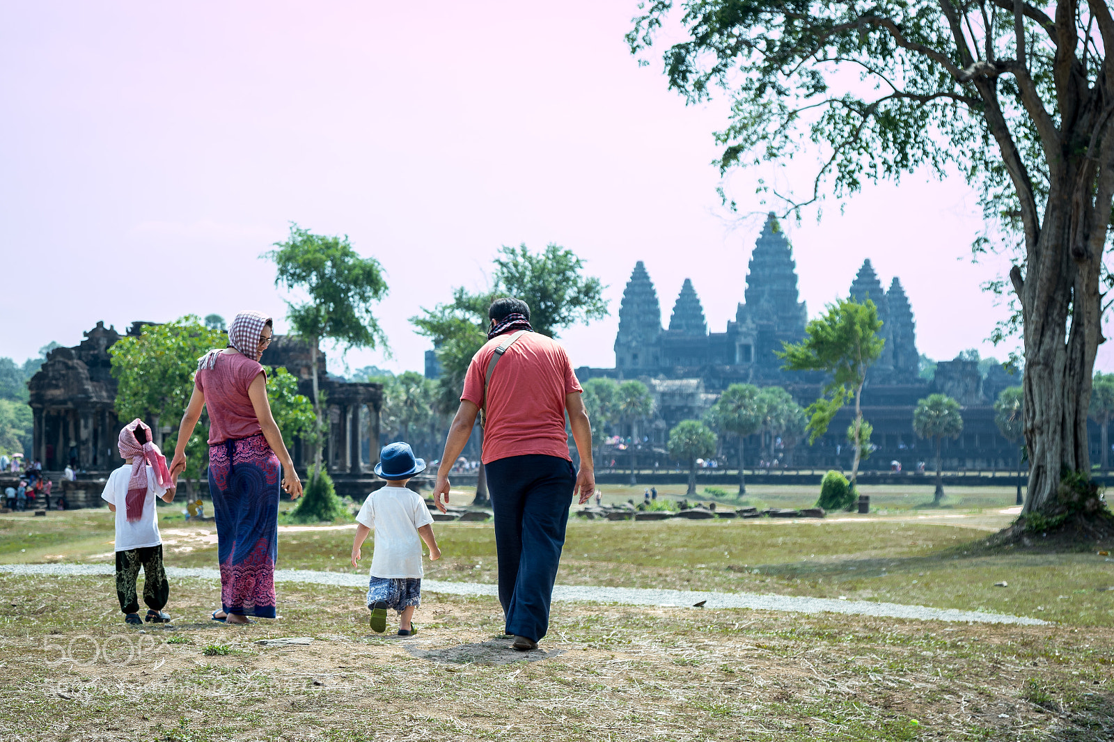Canon EOS 6D Mark II sample photo. Untitled photography