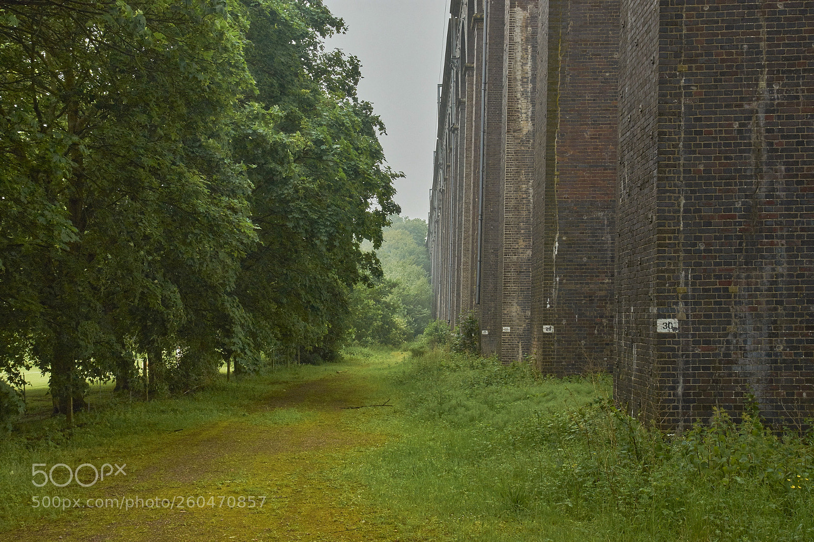 Nikon D7200 sample photo. Digswell viaduct photography
