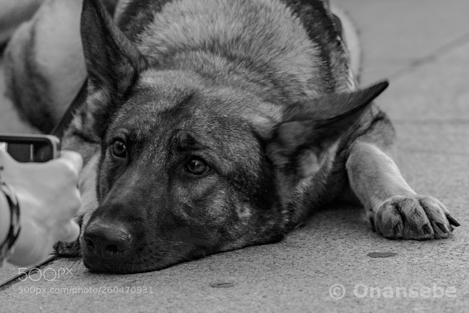 Nikon D5200 sample photo. Posando photography