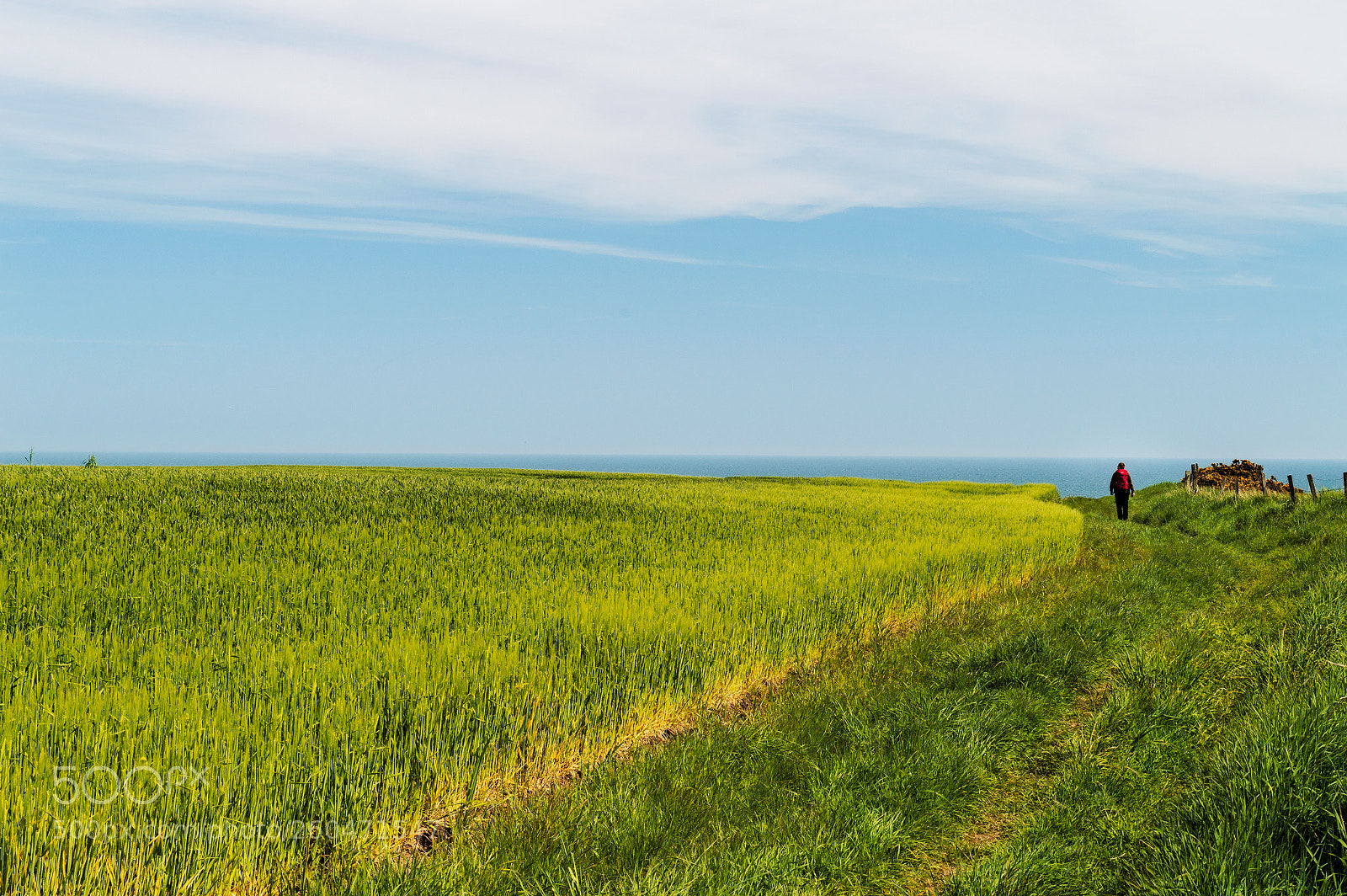 Nikon D3200 sample photo. Plains photography