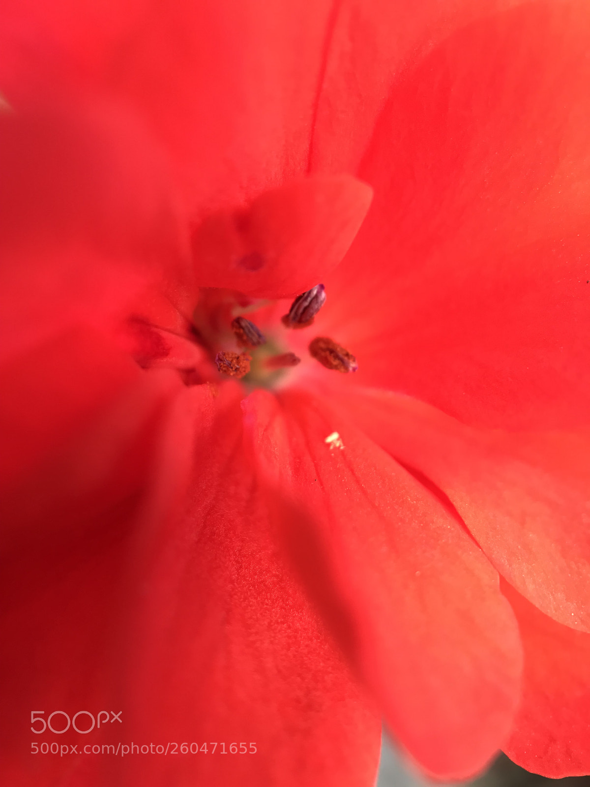 Apple iPhone 7 sample photo. Untitled photography