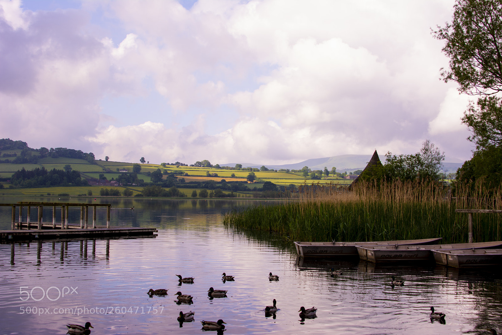 Nikon D7100 sample photo. Llangorse lake photography