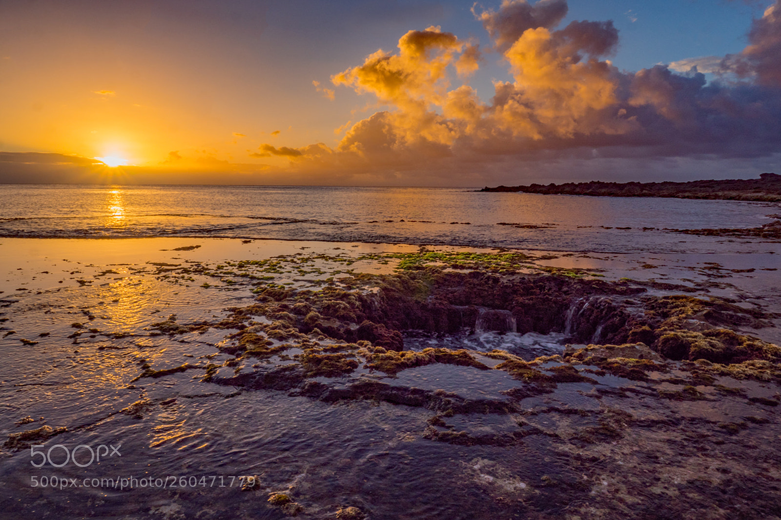 Olympus OM-D E-M5 II sample photo. Sharks cove lava tube photography