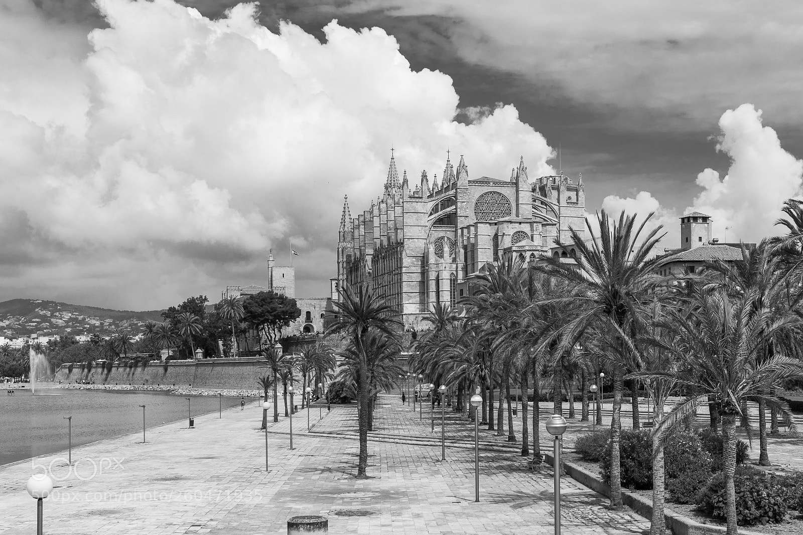 Canon EOS 6D Mark II sample photo. La seu, the cathedral photography