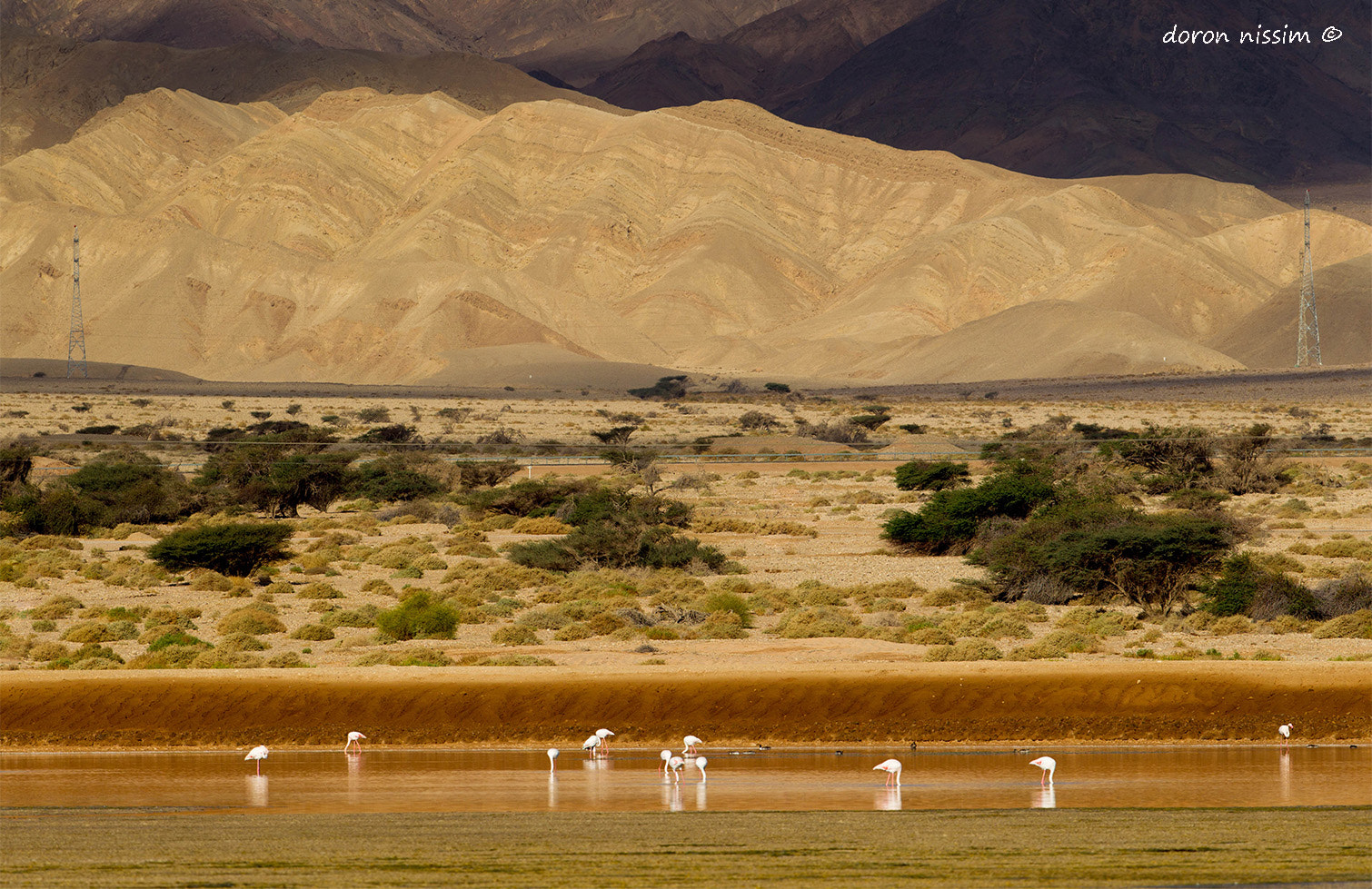 Canon EOS-1D Mark IV sample photo. Eilat desert photography