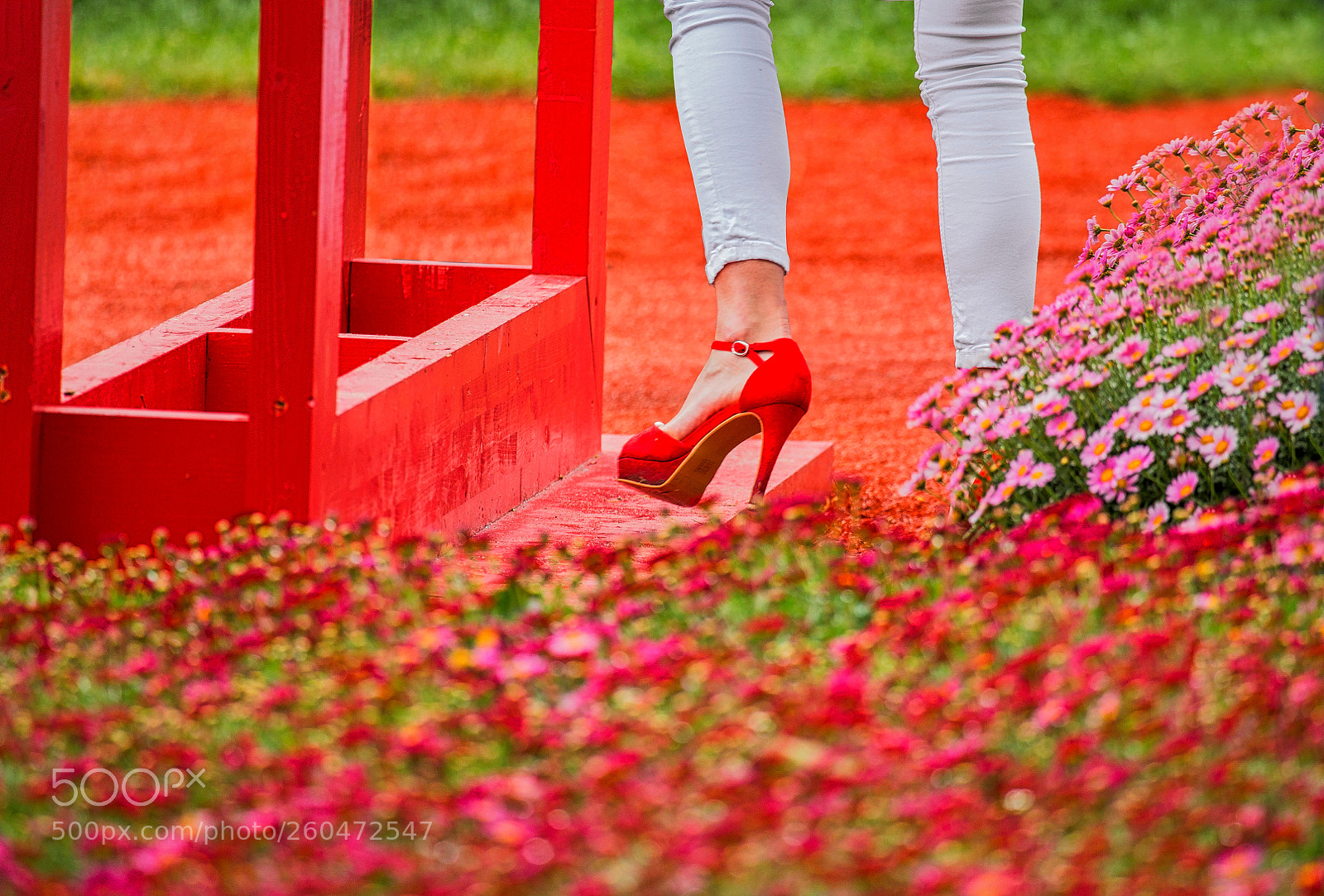 Canon EOS 6D sample photo. Live italy with high photography
