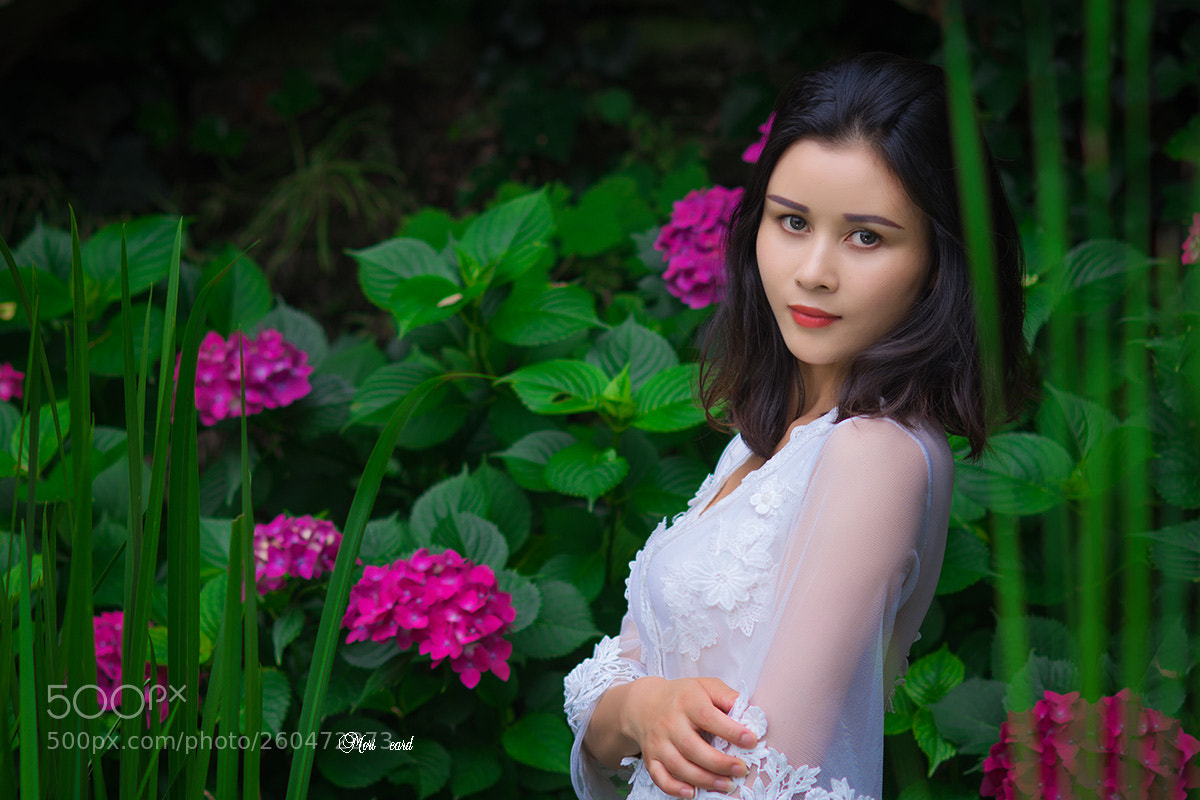 Nikon D750 sample photo. 26.jpg photography