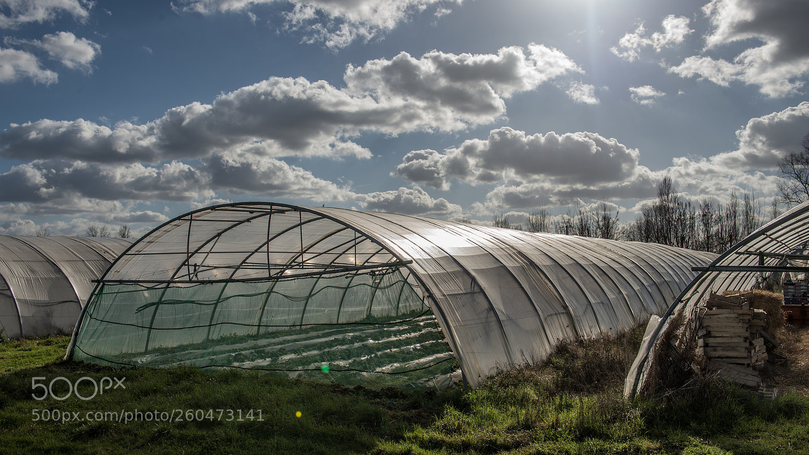 Nikon D4S sample photo. Under the clouds photography