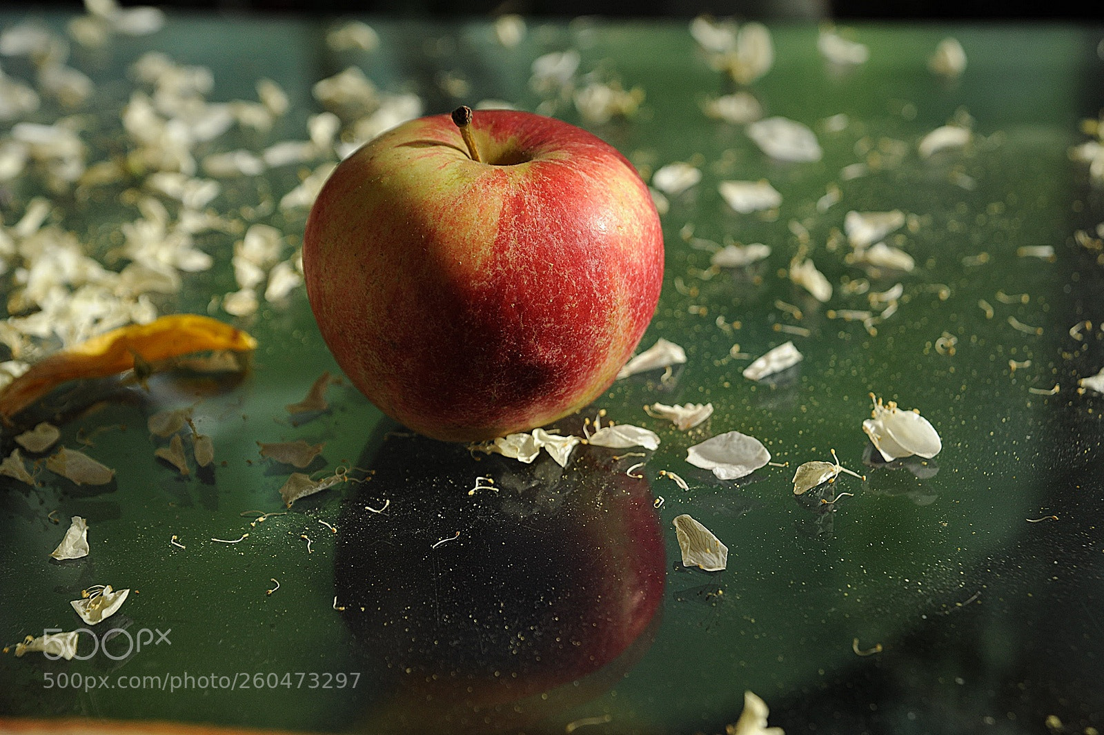 Nikon D700 sample photo. Apple 26 photography