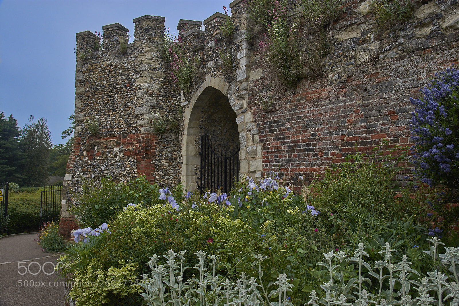 Nikon D7200 sample photo. Hertford castle photography