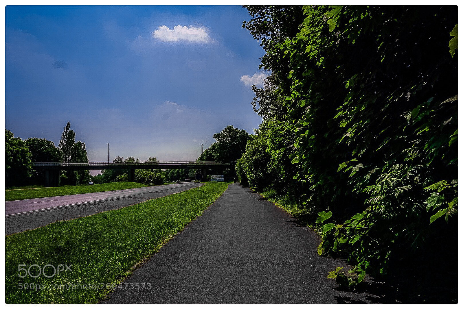 Sony a6000 sample photo. A nice morning... photography