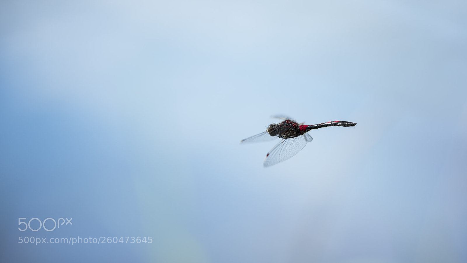 Nikon D7200 sample photo. Flying above lake photography