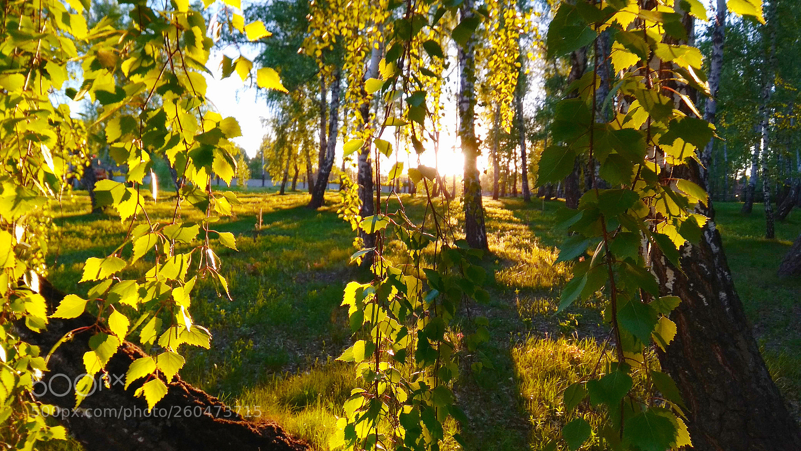Xiaomi Redmi Note 4 sample photo. Untitled photography