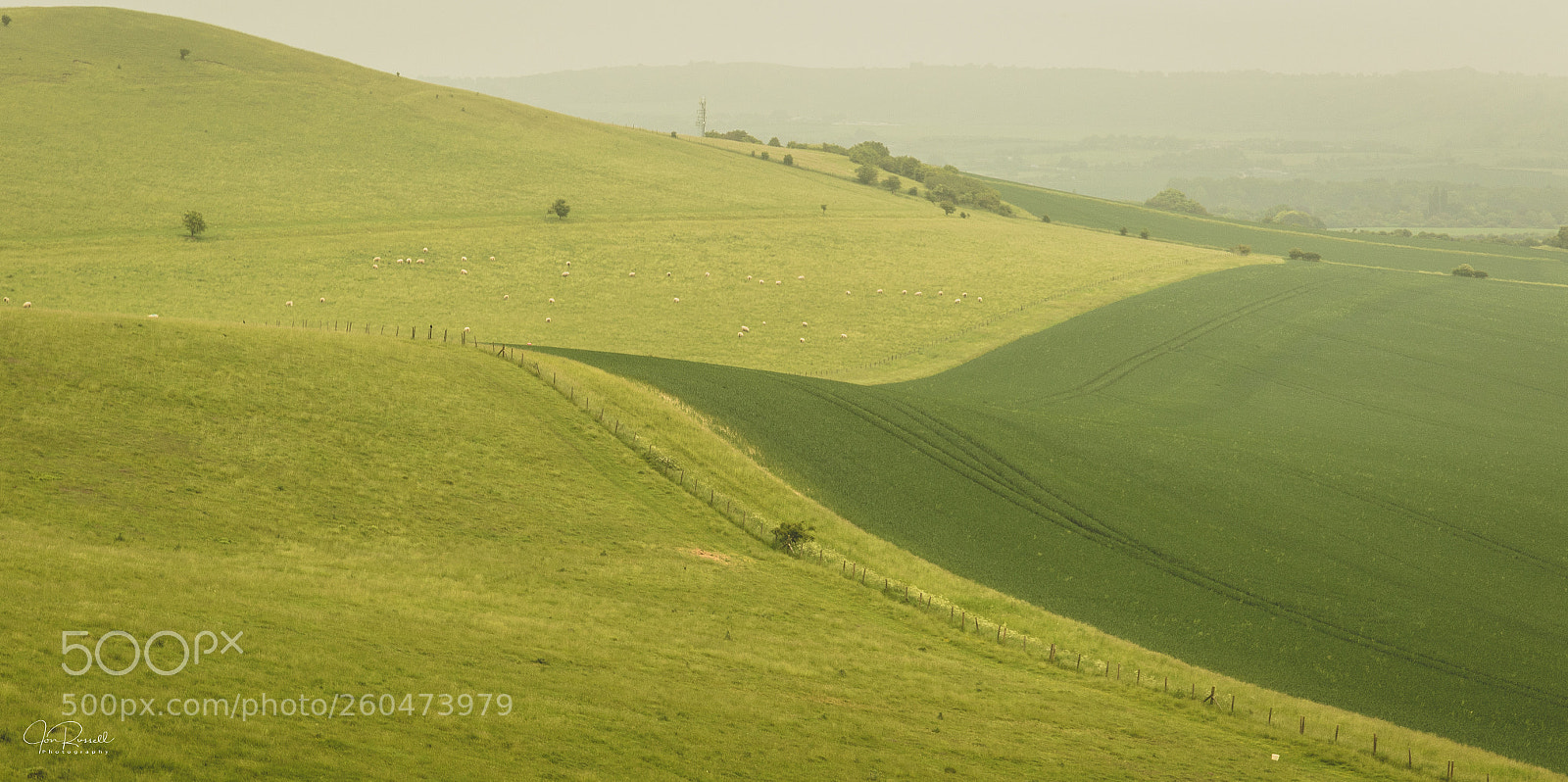 Canon EOS 7D Mark II sample photo. The greens of ivinghoe photography