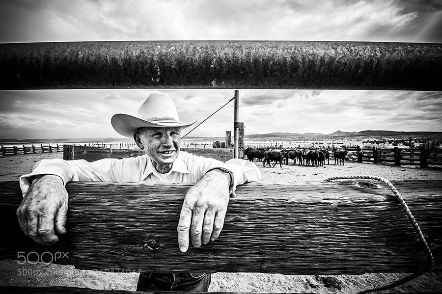 Nikon D700 sample photo. United scapes of america photography