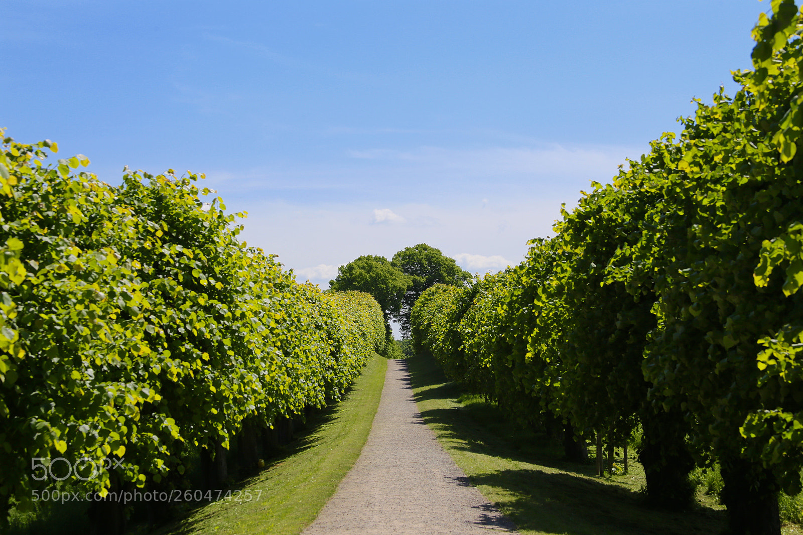 Canon EOS 6D sample photo. Schloss bothmer photography
