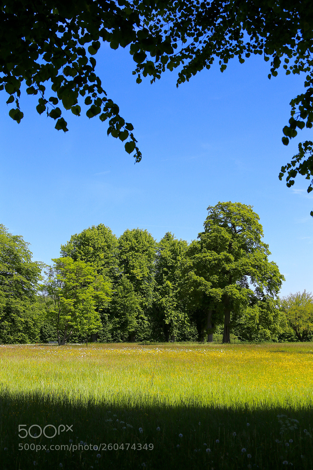 Canon EOS 6D sample photo. Schloss bothmer photography