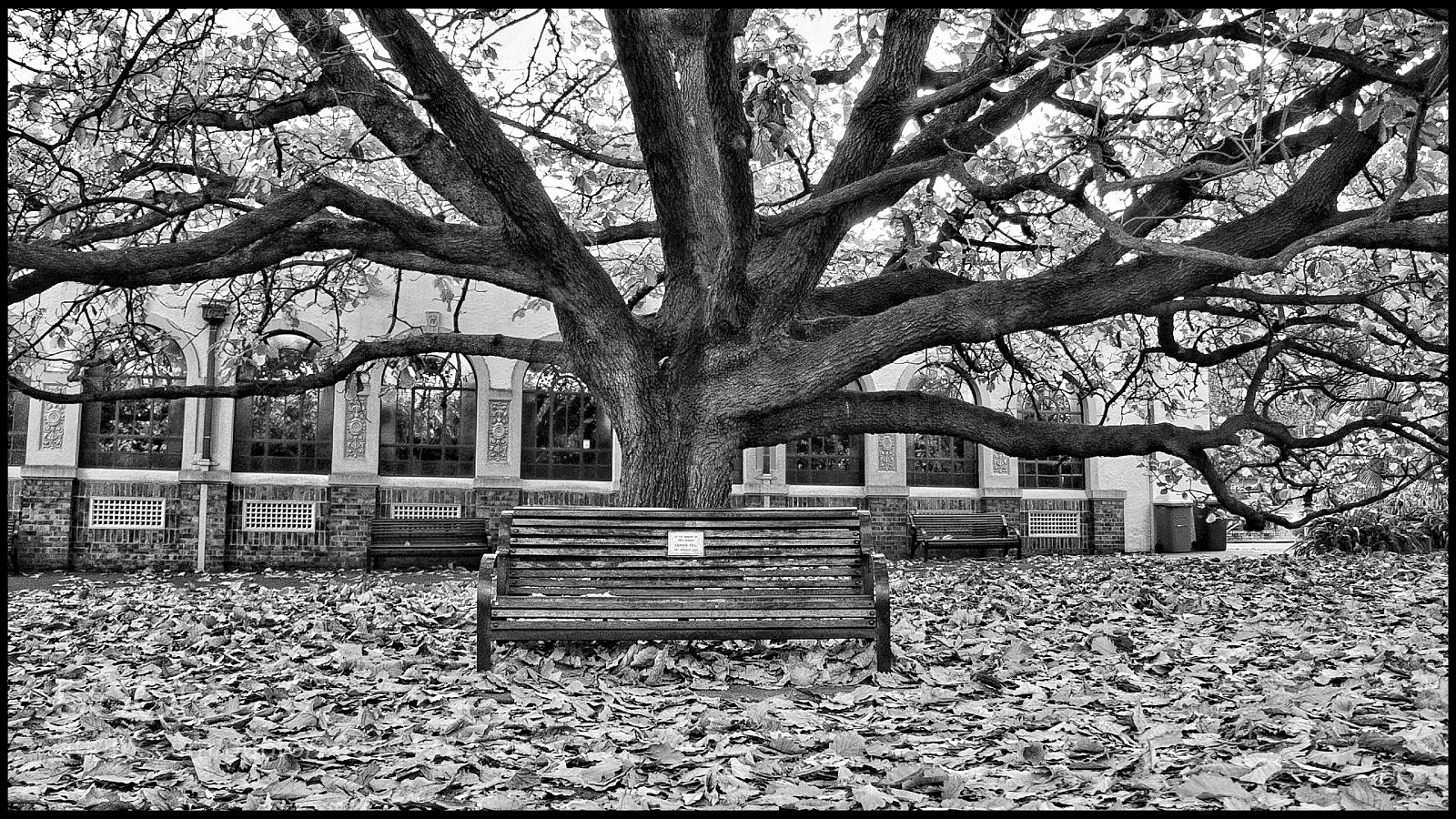 Canon EOS M3 sample photo. Untitled photography