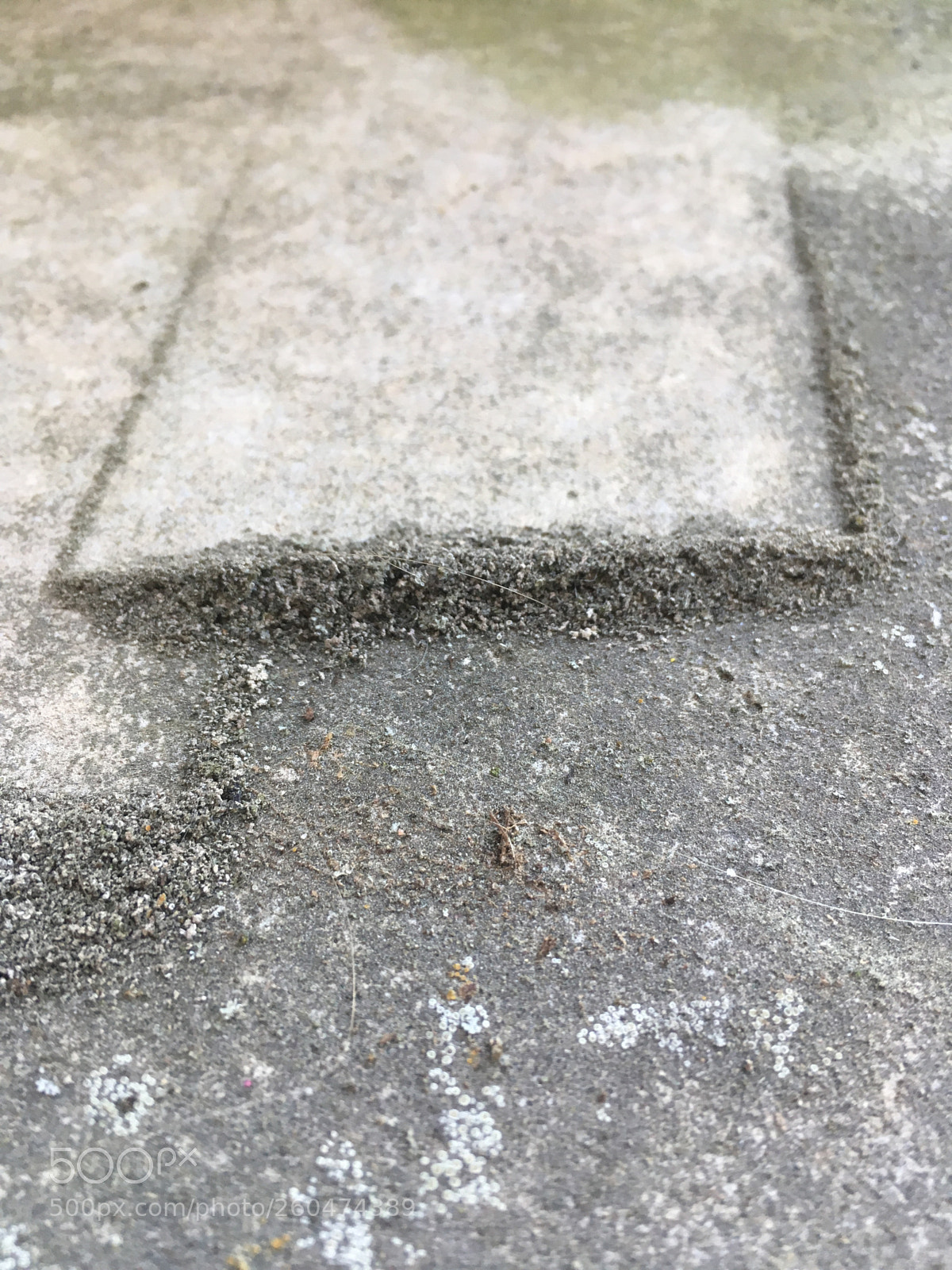 Apple iPhone SE sample photo. Scrap differs photography