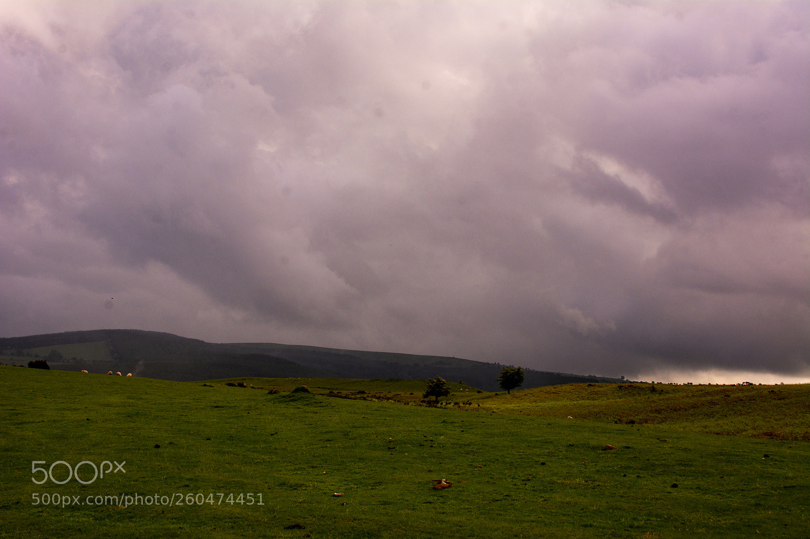 Nikon D7100 sample photo. Moody mountain skys photography
