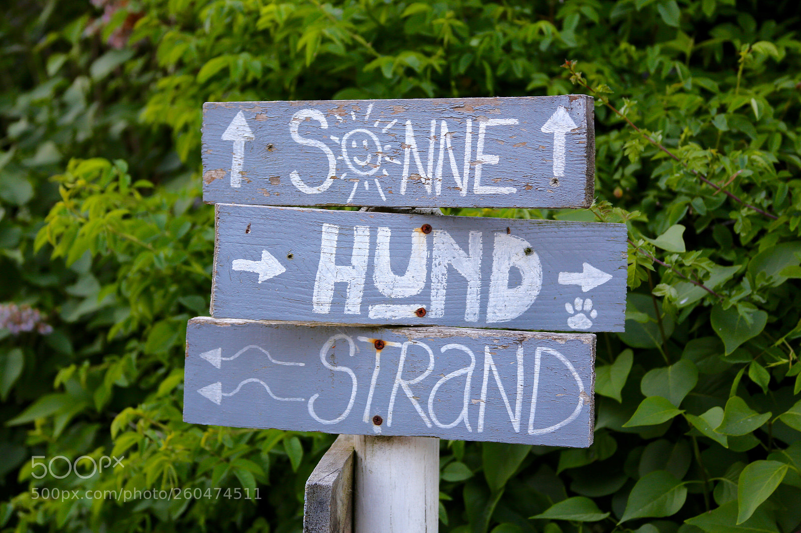 Canon EOS 6D sample photo. Ostseebad boltenhagen photography