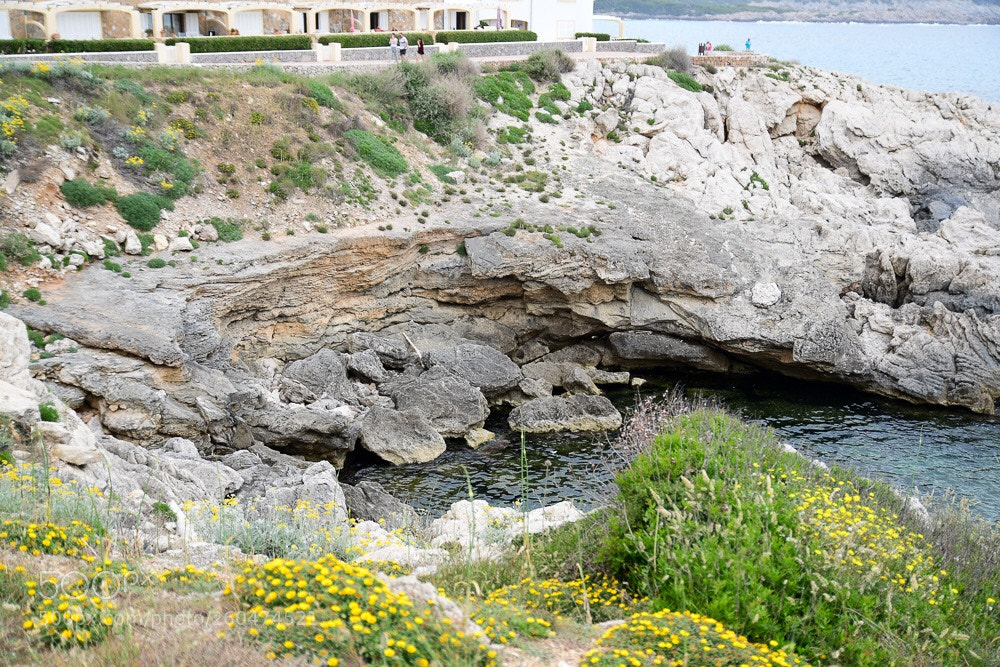 Nikon D7500 sample photo. Mallorca  photography