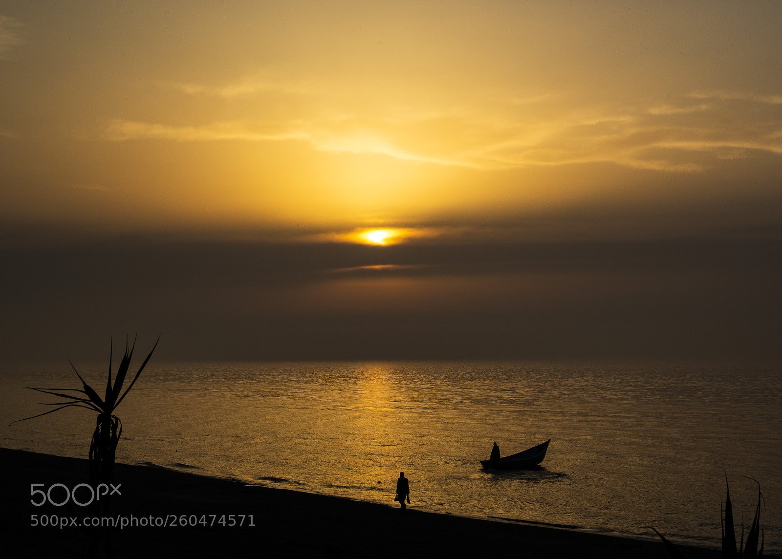 Canon EOS 6D sample photo. Time to go home photography