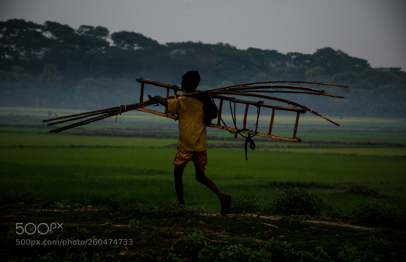Nikon D7000 sample photo. Farmer photography