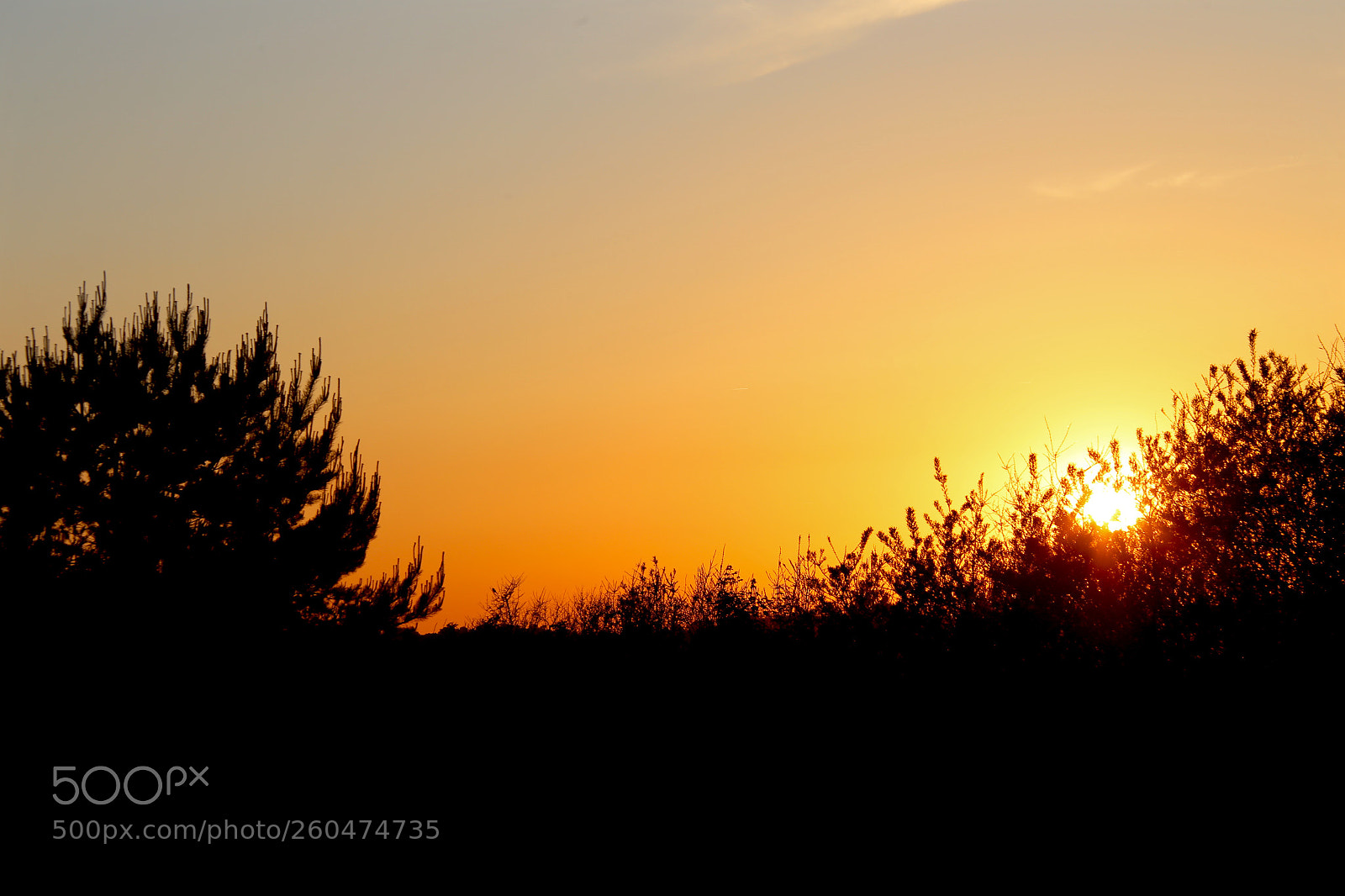 Canon EOS 6D sample photo. Ostseebad boltenhagen photography