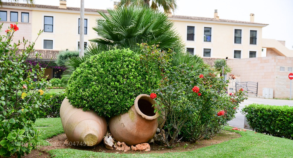 Nikon D7500 sample photo. Mallorca  photography