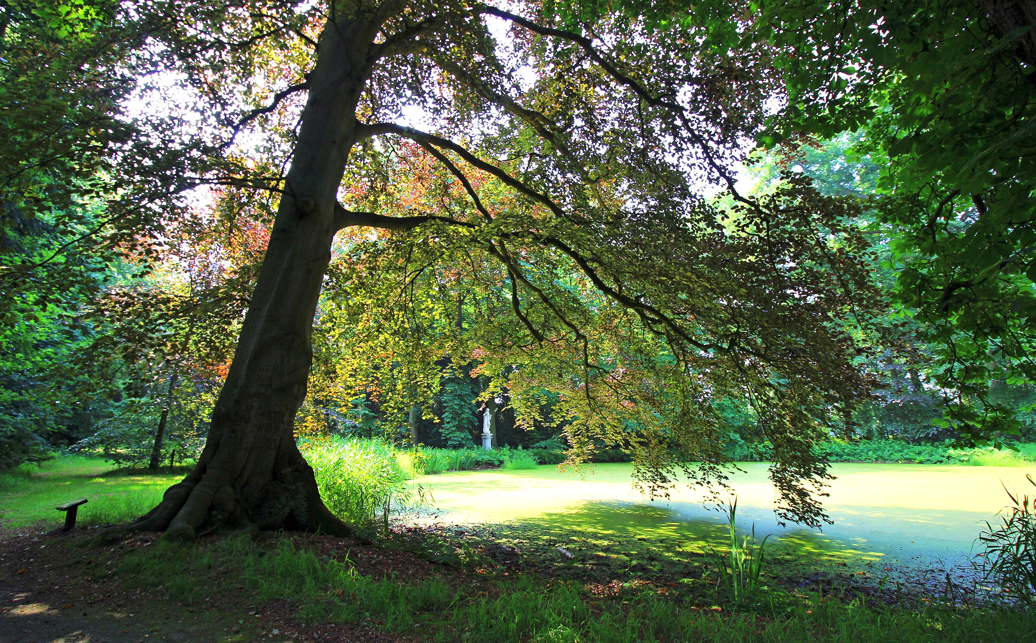 Canon EOS 600D (Rebel EOS T3i / EOS Kiss X5) sample photo. Shadow in the park photography